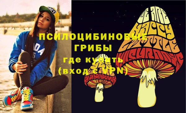 гидропоника Михайловск