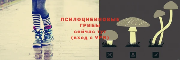 молекула духа Наволоки