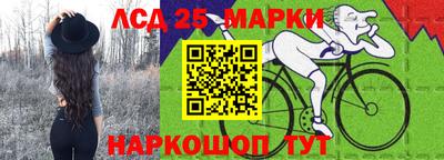 стафф Гусев