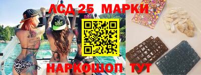 стафф Гусев