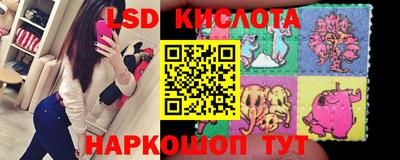 стафф Гусев