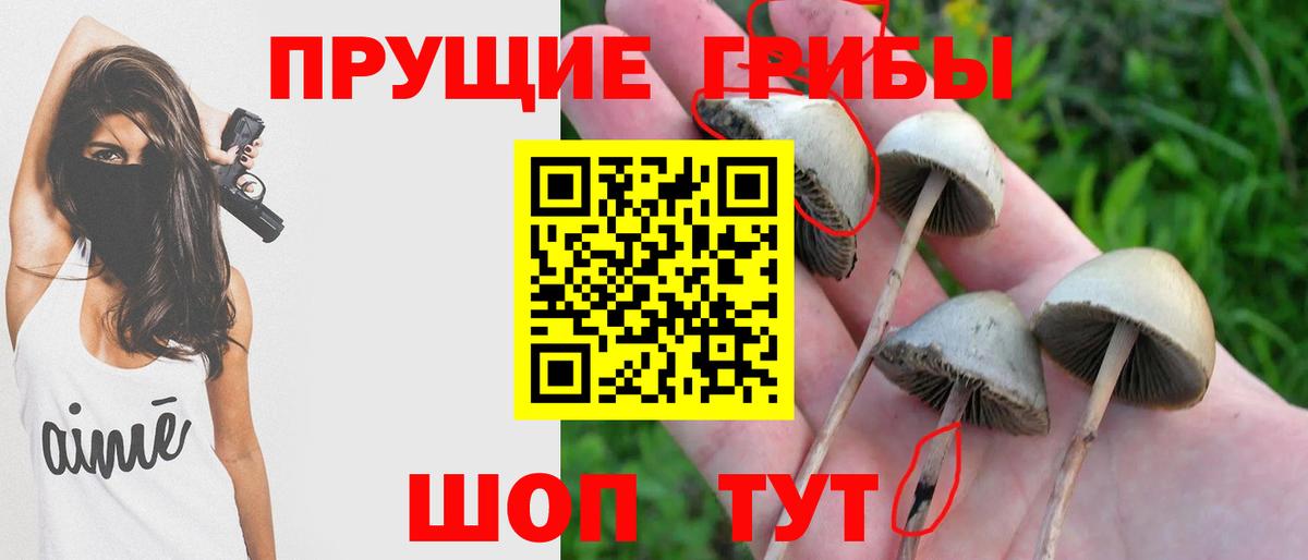 Галлюциногенные грибы ЛСД  Галлюциногенные грибы мицелий  Вход с VPN  Нижнеудинск 